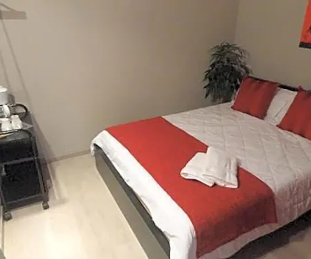Hotel Brustar Centric