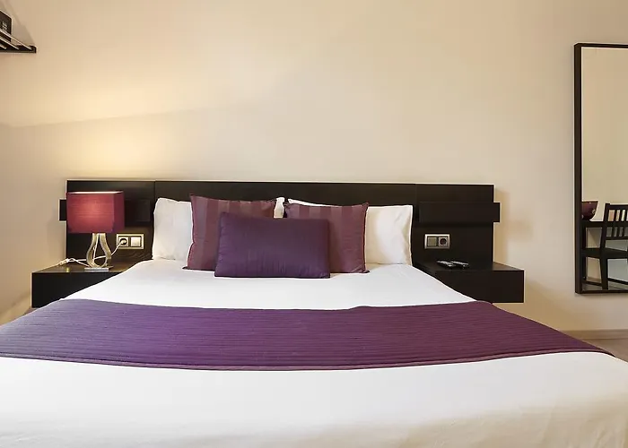 Hotel Brustar Centric